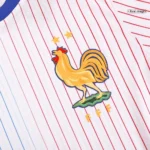 France Player Version EURO 2024 Auswarts Trikot football jersey