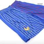 France EURO 2024 AuswartsShorts football jersey