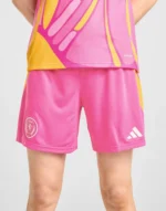 Kinder Scotland Team 2025 AuswartsShorts football jersey
