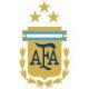 Argentina national football team jerseys